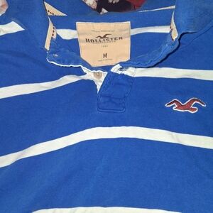 Hollister Royal Blue and White Polo